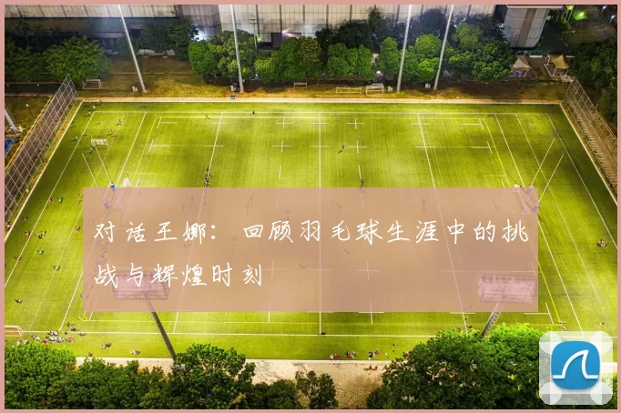 对话王娜：回顾羽毛球生涯中的挑战与辉煌时刻