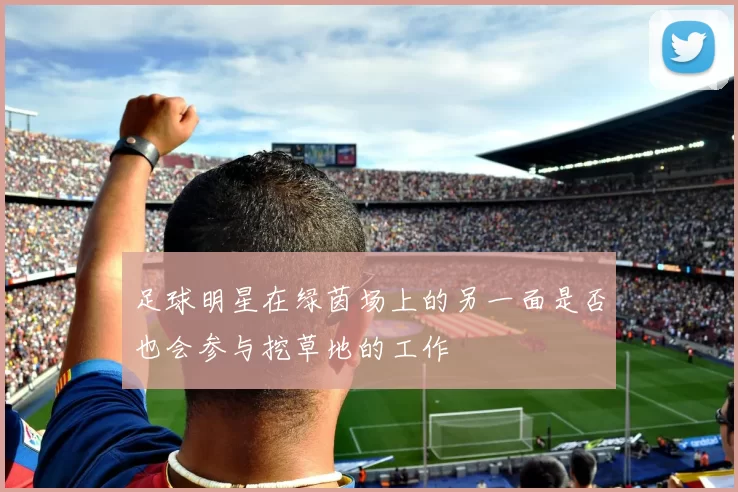足球明星在绿茵场上的另一面是否也会参与挖草地的工作
