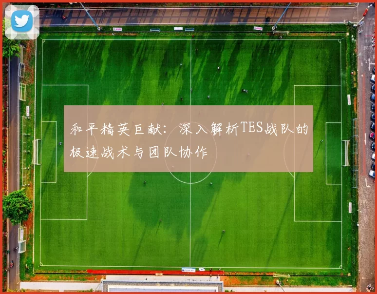 和平精英巨献：深入解析TES战队的极速战术与团队协作