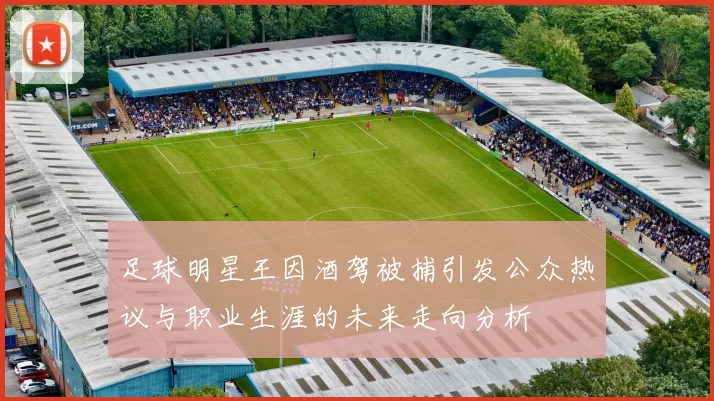 足球明星王因酒驾被捕引发公众热议与职业生涯的未来走向分析