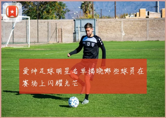 爱坤足球明星名单揭晓哪些球员在赛场上闪耀光芒
