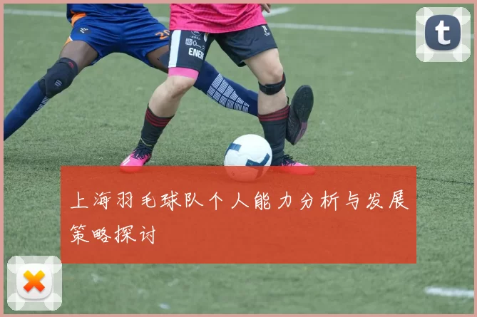 上海羽毛球队个人能力分析与发展策略探讨