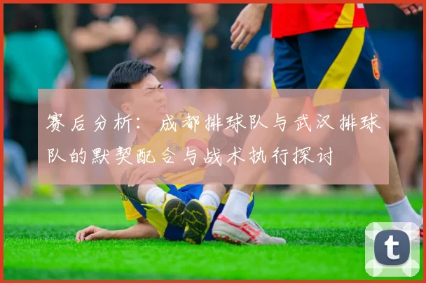 赛后分析：成都排球队与武汉排球队的默契配合与战术执行探讨