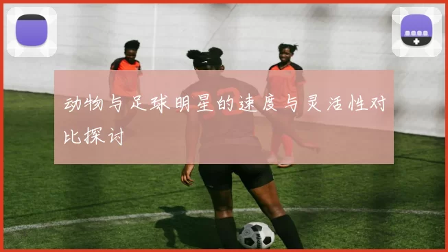 动物与足球明星的速度与灵活性对比探讨