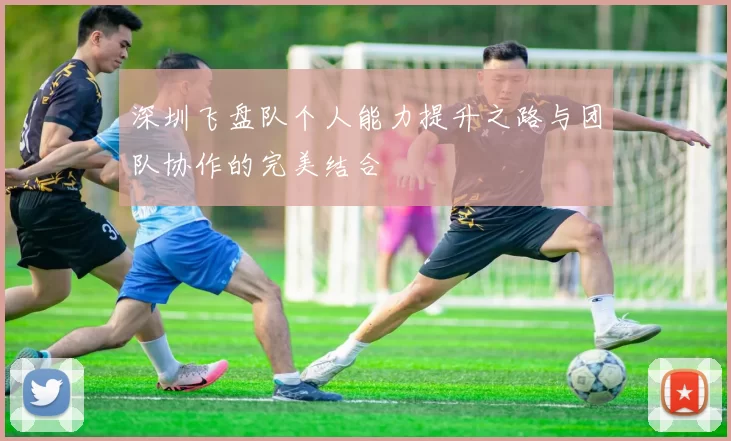 深圳飞盘队个人能力提升之路与团队协作的完美结合