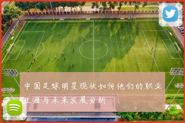 中国足球明星现状如何他们的职业生涯与未来发展分析