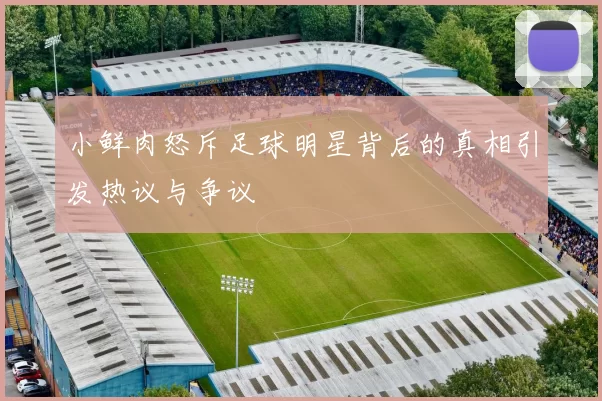 小鲜肉怒斥足球明星背后的真相引发热议与争议