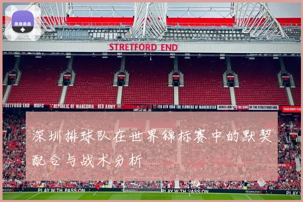 深圳排球队在世界锦标赛中的默契配合与战术分析