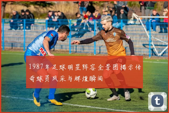 1987年足球明星阵容全景图揭示传奇球员风采与辉煌瞬间