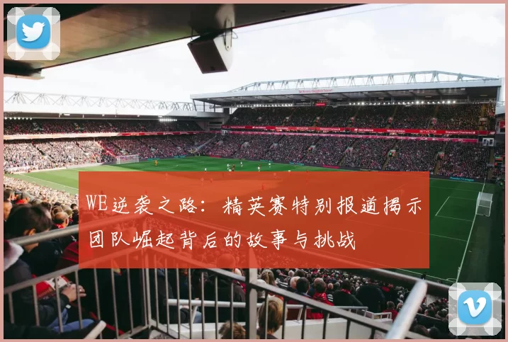 WE逆袭之路：精英赛特别报道揭示团队崛起背后的故事与挑战