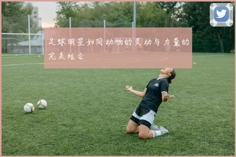 足球明星如同动物的灵动与力量的完美结合