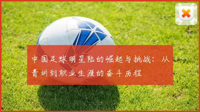 中国足球明星陆的崛起与挑战：从青训到职业生涯的奋斗历程