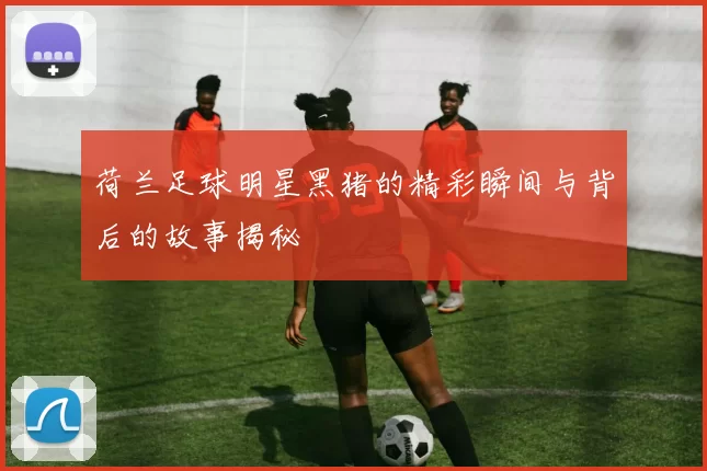 荷兰足球明星黑猪的精彩瞬间与背后的故事揭秘