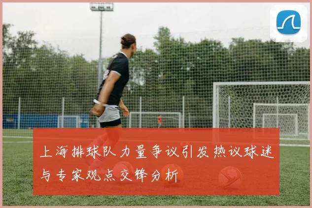 上海排球队力量争议引发热议球迷与专家观点交锋分析