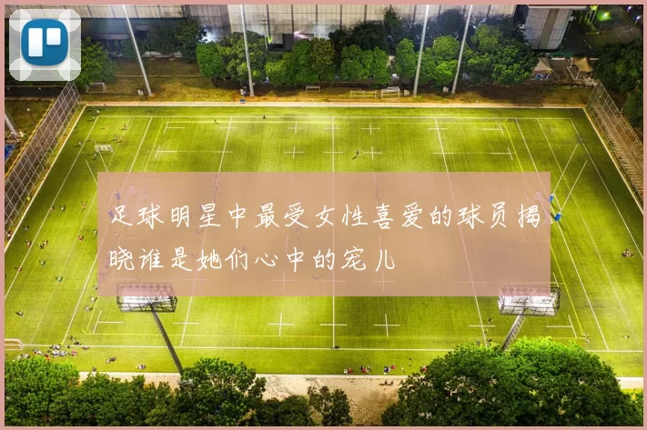 足球明星中最受女性喜爱的球员揭晓谁是她们心中的宠儿