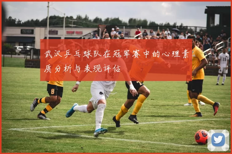 武汉乒乓球队在冠军赛中的心理素质分析与表现评估