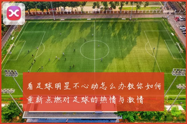 看足球明星不心动怎么办教你如何重新点燃对足球的热情与激情
