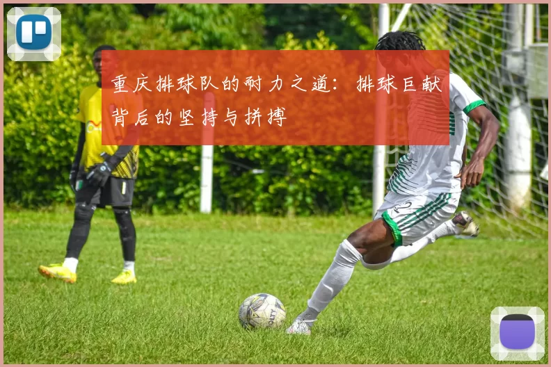 重庆排球队的耐力之道：排球巨献背后的坚持与拼搏