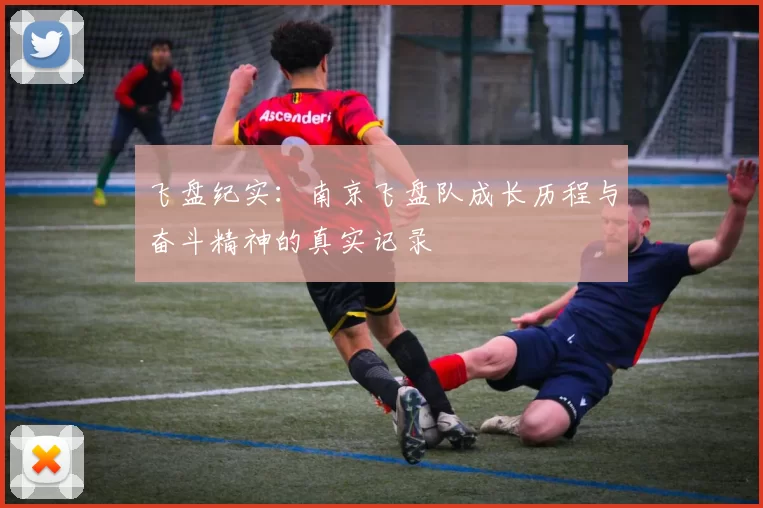 飞盘纪实：南京飞盘队成长历程与奋斗精神的真实记录