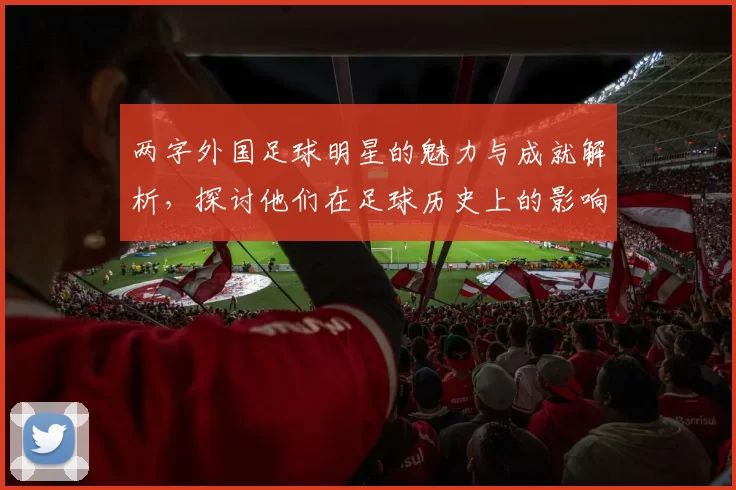 两字外国足球明星的魅力与成就解析，探讨他们在足球历史上的影响力与贡献