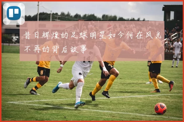昔日辉煌的足球明星如今何在风光不再的背后故事