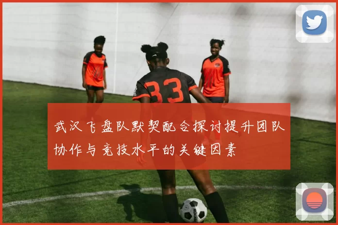 武汉飞盘队默契配合探讨提升团队协作与竞技水平的关键因素
